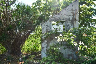 Malapascua'nın kuzeyinde, sahile yakın terk edilmiş otel