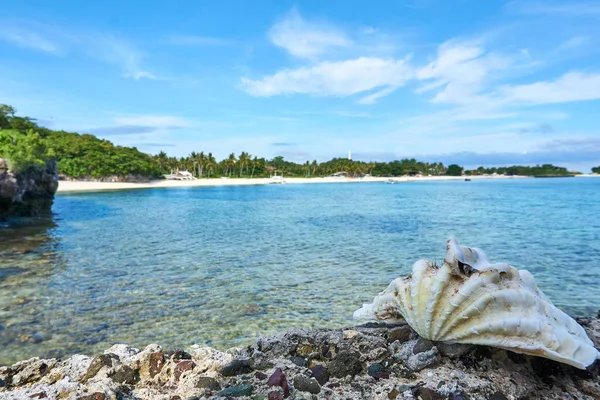 Concha en el suelo con la playa de Malapascua en el fondo. Filipinas — Foto de Stock