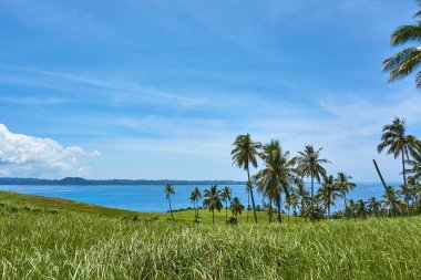 Tropik Ada manzaralı, Siargao Adası Manzara