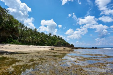 Filipinler, Siargao Adası, 22.Temmuz.2019.: Turistler Siargao, Filipinler magpupungko doğal kaya havuzları ziyaret.