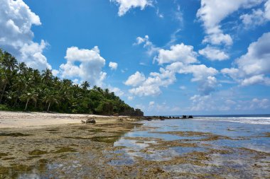 Filipinler, Siargao Adası, 22.Temmuz.2019.: Turistler Siargao, Filipinler magpupungko doğal kaya havuzları ziyaret.