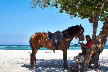 Trawangan, Endonezya - 15.10.2019: Gili Trawangan'da yanında atla sahilde adam oturuyor