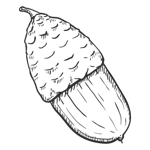 Ilustração Esboço Desenhado Mão Vetorial Único Milho — Vetor de Stock