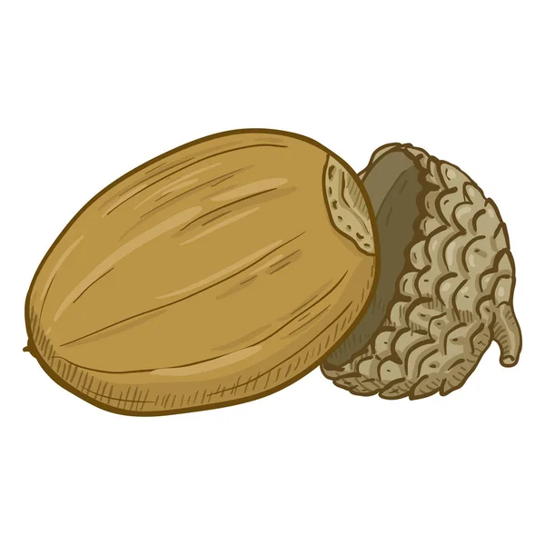 Illustrazione Del Colore Dei Cartoni Animati Vettoriali Old Broken Acorn — Vettoriale Stock