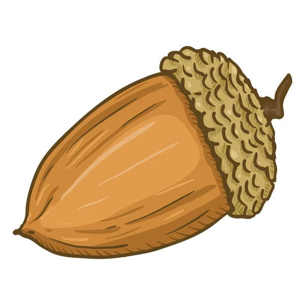 Vectorillustratie Cartoon Kleur Bruin Wilde Acorn — Stockvector