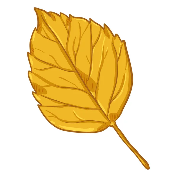 Διάνυσμα Καρτούν Εικονογράφηση Φθινόπωρο Πεσμένο Κίτρινο Φύλλο Από Σημύδα — Διανυσματικό Αρχείο