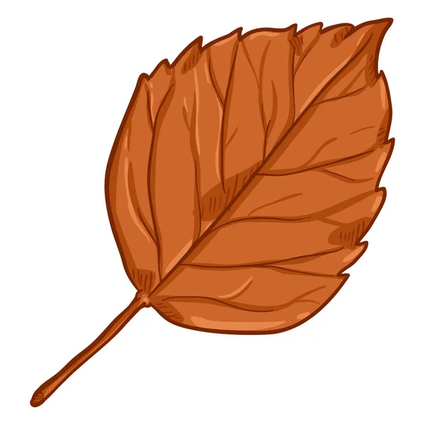 Vector Cartoon Illustration Autumn Fallen Orange Leaf Birch — Stock Vector