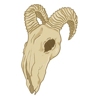 çizilmiş kafatası, keçi beyaz arka plan üzerinde