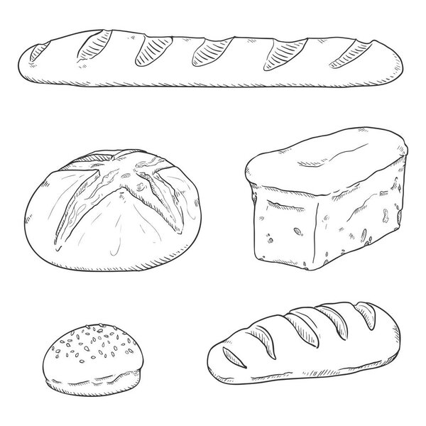Vector Black Sketch Set of Fresh Baked Bread Loaves and Baguettes