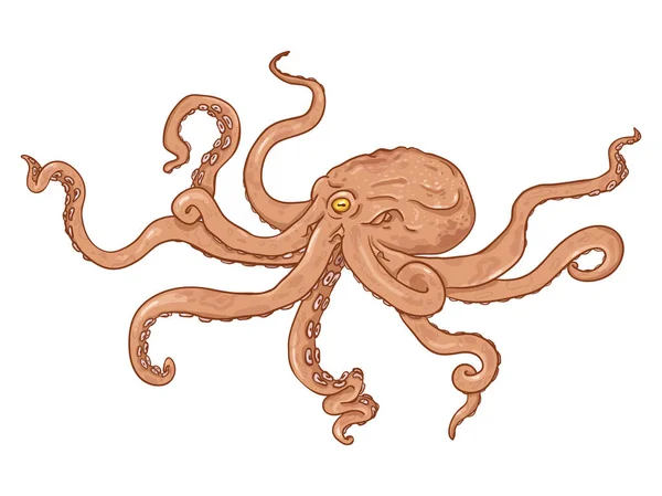 Vector Cartoon Illustration Red Octopus Dalam Bahasa Inggris Hewan Bawah - Stok Vektor