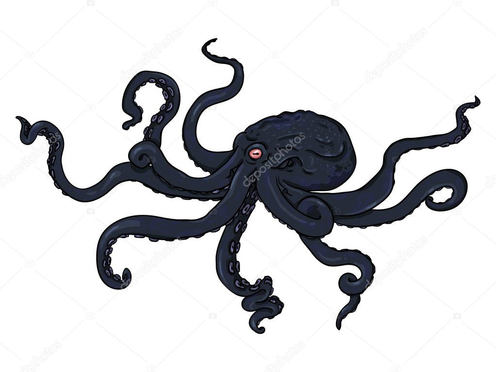 Vector Cartoon Illustration - Black Octopus. Wild Underwater Animal.