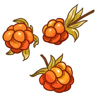 Çizgi film Cloudberry illüstrasyon vektör kümesi