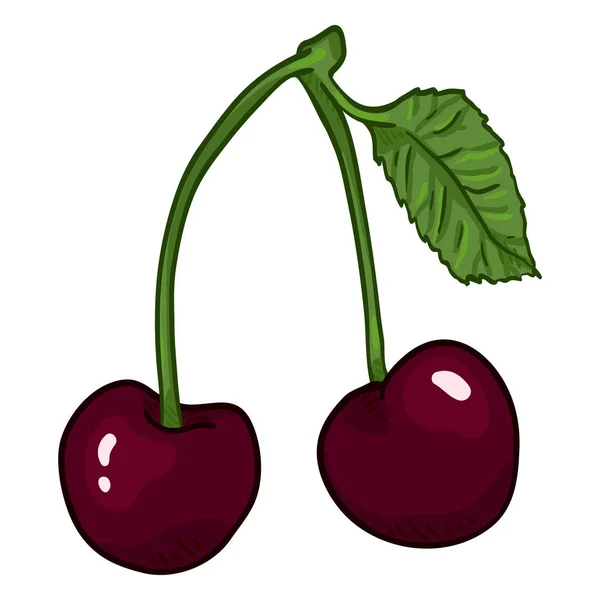 Vector Cartoon Illustration Two Cherries Branch Leaf - Stok Vektor