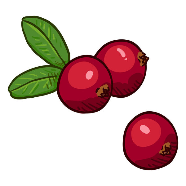 Vector Set of Cartoon Cowberry