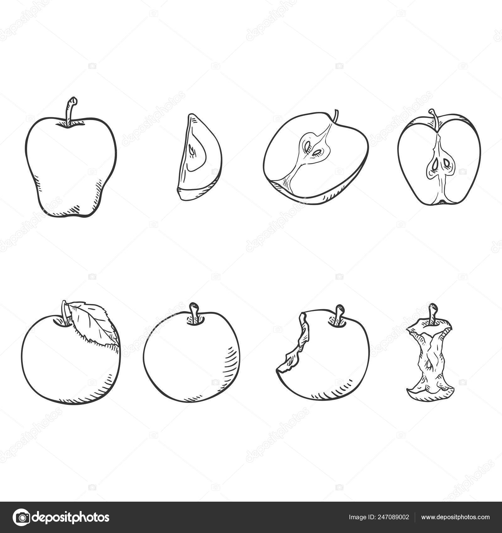 How to draw an apple with a pencil step-by-step drawing tutorial