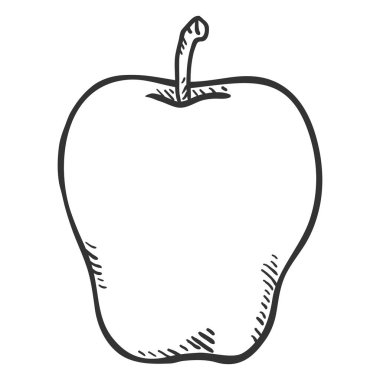 Vektör el çizilmiş kroki elma