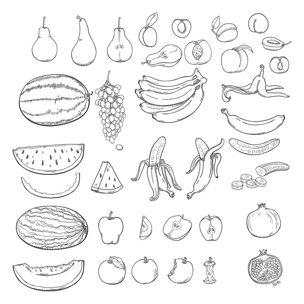 Conjunto Vectorial Sketch Fruits Uvas Melón Sandía Pera Manzana Banano — Vector de stock