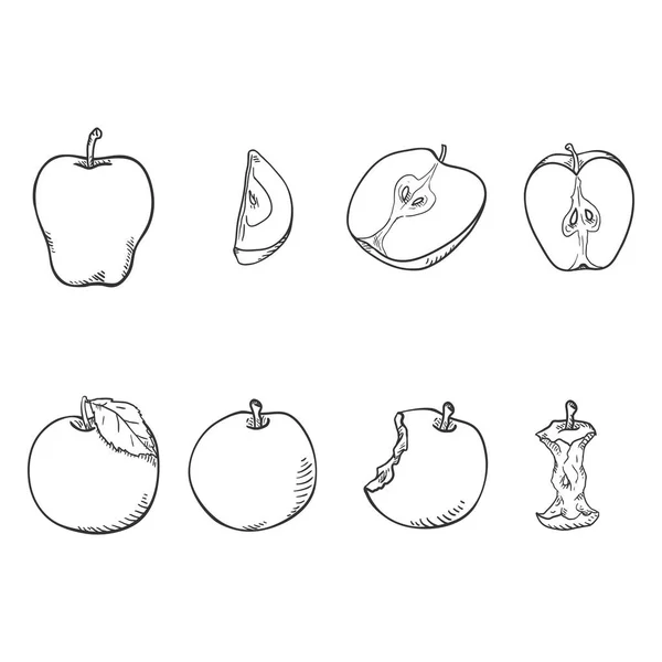 Διάνυσμα Σύνολο Των Εικονογραφήσεων Apple Σκίτσο Ολόκληρα Κομμένα Και Δαγκωμένο — Διανυσματικό Αρχείο