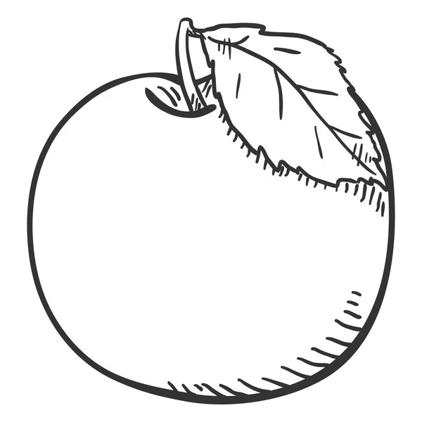 Boceto Vectorial Apple Con Una Hoja — Archivo Imágenes Vectoriales