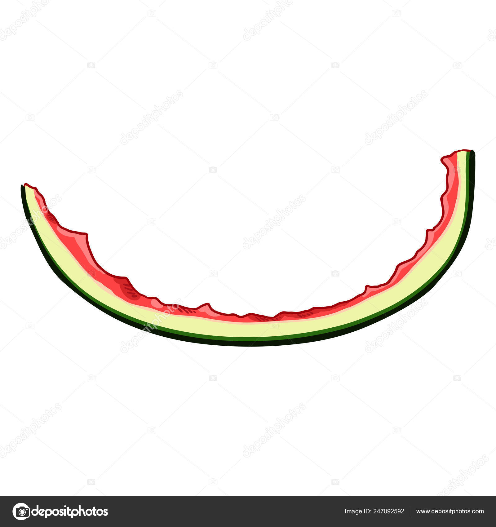 Vector Cartoon Watermelon Rind Stock Vector Image by ©nikiteev #247092592 Vector Cartoon Watermelon Rind Stock Vector Image by ©nikiteev #247092592
