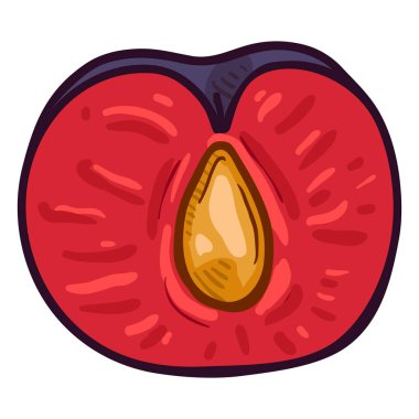 Tek çizgi film Erik yarısı vektör