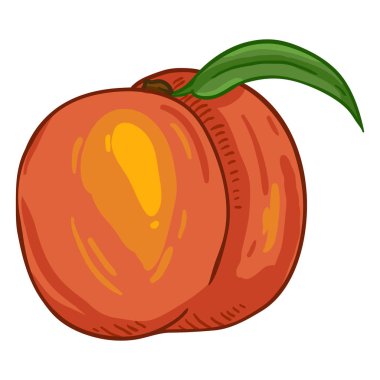 Vektör karikatür tüm şeftali