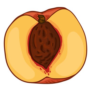 Vektör şeftali yarısı çizgi film