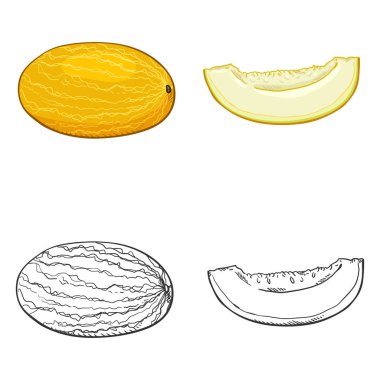 Kroki ve çizgi film kavun çizimler vektör kümesi