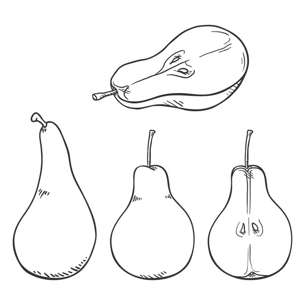 Vector Set Sketch Pear Illustrations — Stock Vector