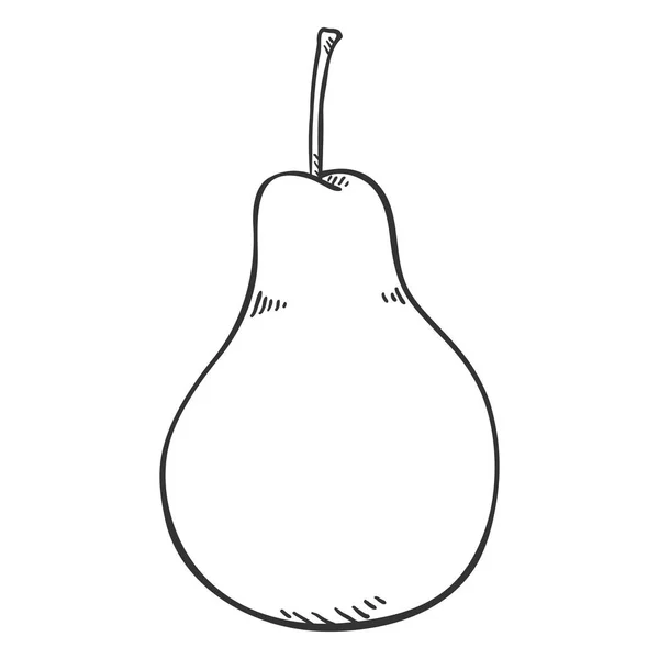 Vector Één Schets Pear — Stockvector