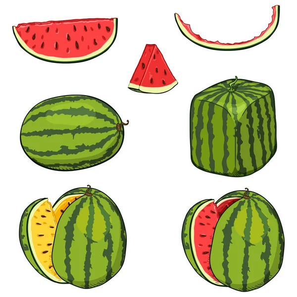 Vector Set Watermeloenen Hele Geknipte Stukjes Fruit — Stockvector