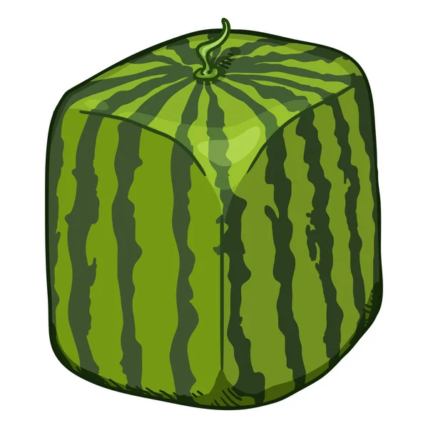 Vector Cartoon Cube Shape Watermelon — Stock Vector