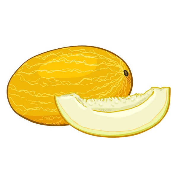 Vector Dibujos Animados Melón Amarillo Pedazo Ella — Vector de stock