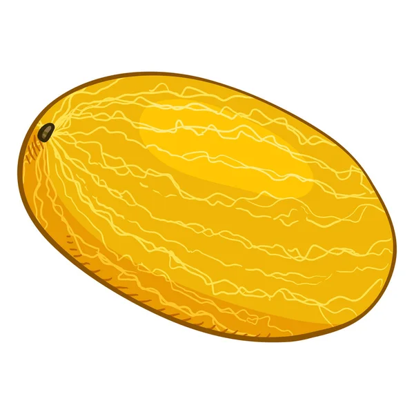 Vector Dibujos Animados Amarillo Melón Entero — Vector de stock