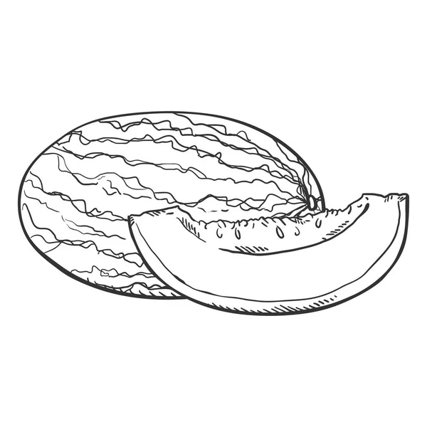 Croquis Vectoriel Melon Morceau Melon — Image vectorielle