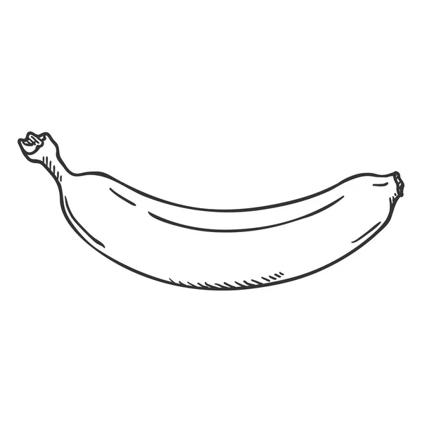Vector Único Boceto Plátano — Vector de stock