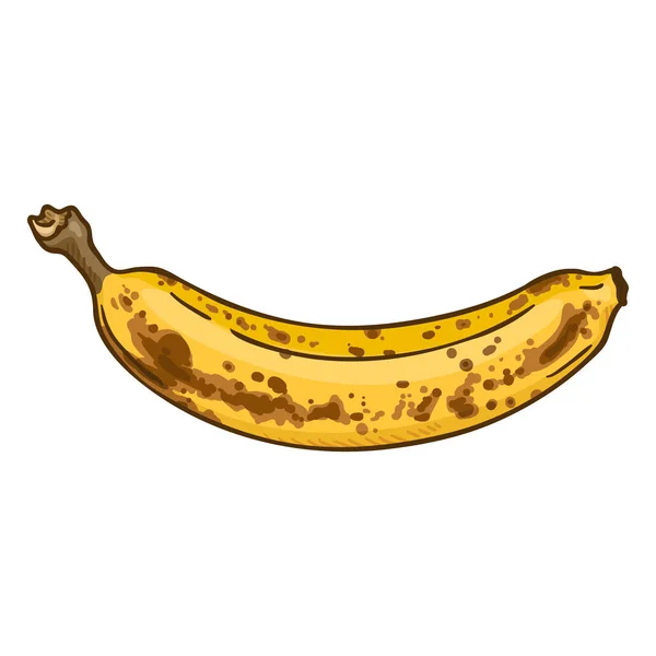 Vektor Einzelne Cartoon Überreife Banane — Stockvektor