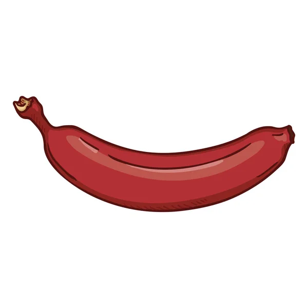 Vektor Kartun Tunggal Banana Merah - Stok Vektor