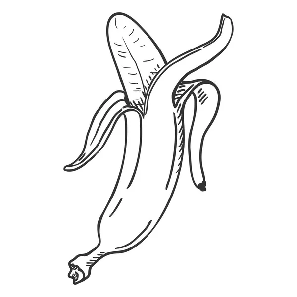 Croquis Vectoriel Banane Pelée — Image vectorielle