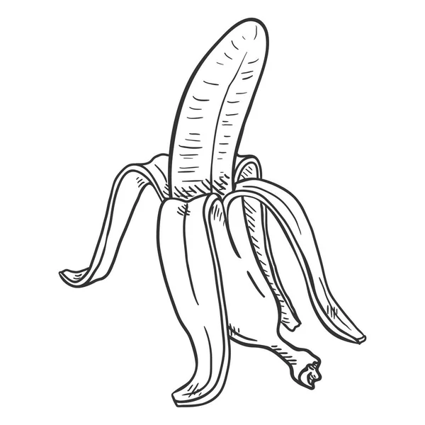 Vektor Sketch Peeled Banana - Stok Vektor