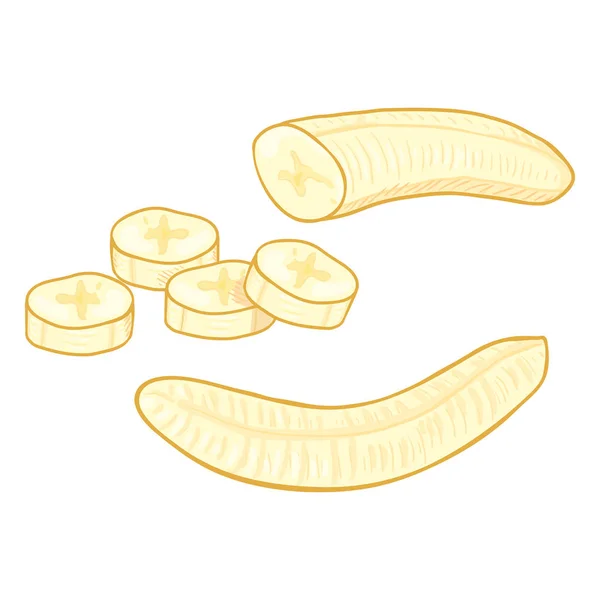 Vector Set Cartoon Peeled Banana Whole Sliced — Stock Vector