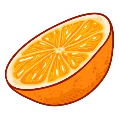 Vektör karikatür portakal meyvesi ikiye ayırmak