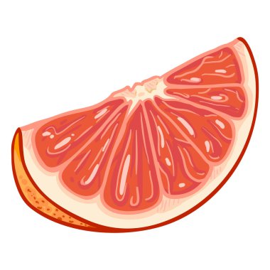 Vector Cartoon Grapefruit Slice vector