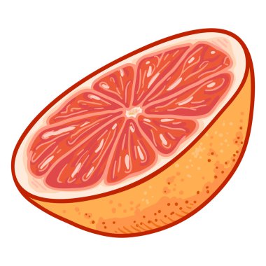 Vector Cartoon Grapefruit Half Cut vector