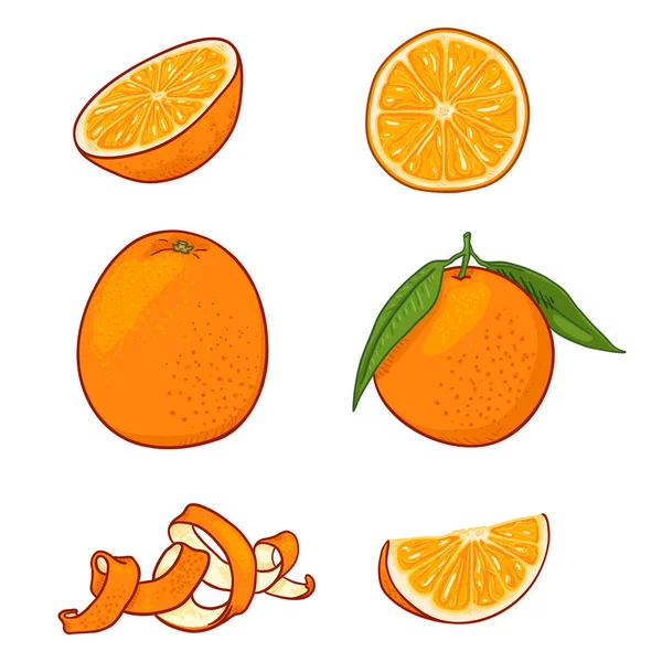 Conjunto de vectores de frutas naranjas de dibujos animados . — Archivo Imágenes Vectoriales