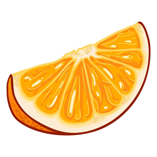 Vector Cartoon oranje Fruit segment. — Stockvector