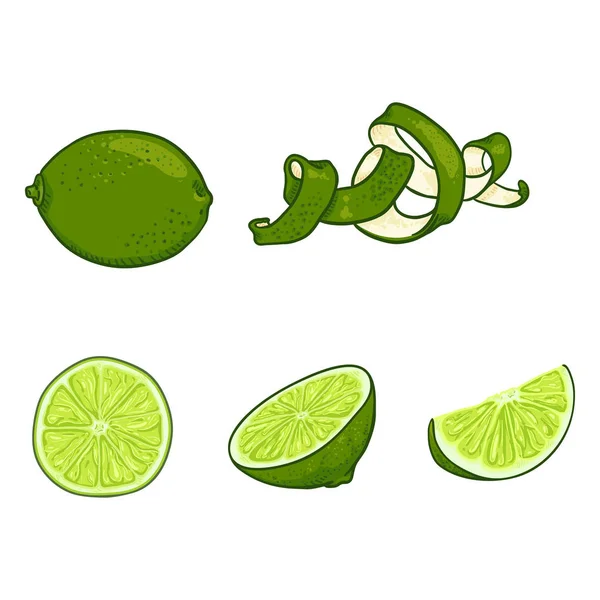 Vector uppsättning Lime frukter. — Stock vektor