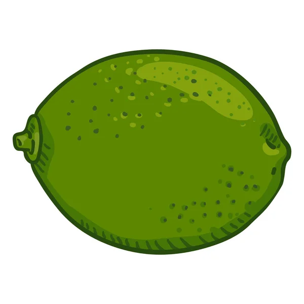Vector Cartoon Lime Fruit — Stock Vector