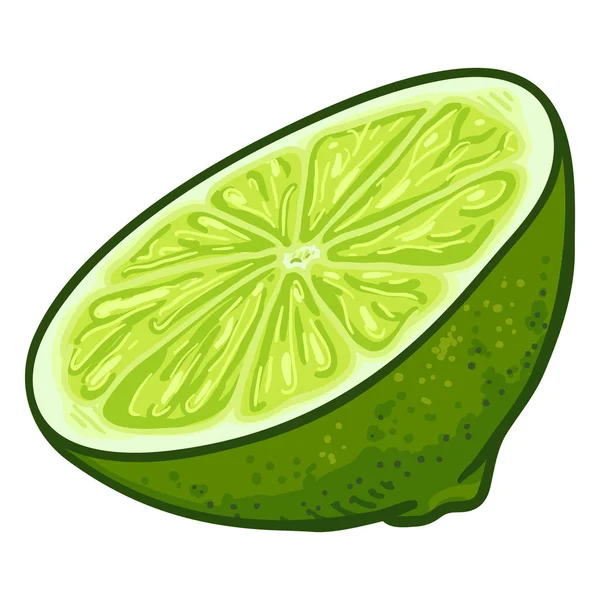 Vector Cartoon helft kalk fruit gesneden — Stockvector