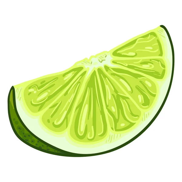 Vector Cartoon Lime Slice — Stock Vector
